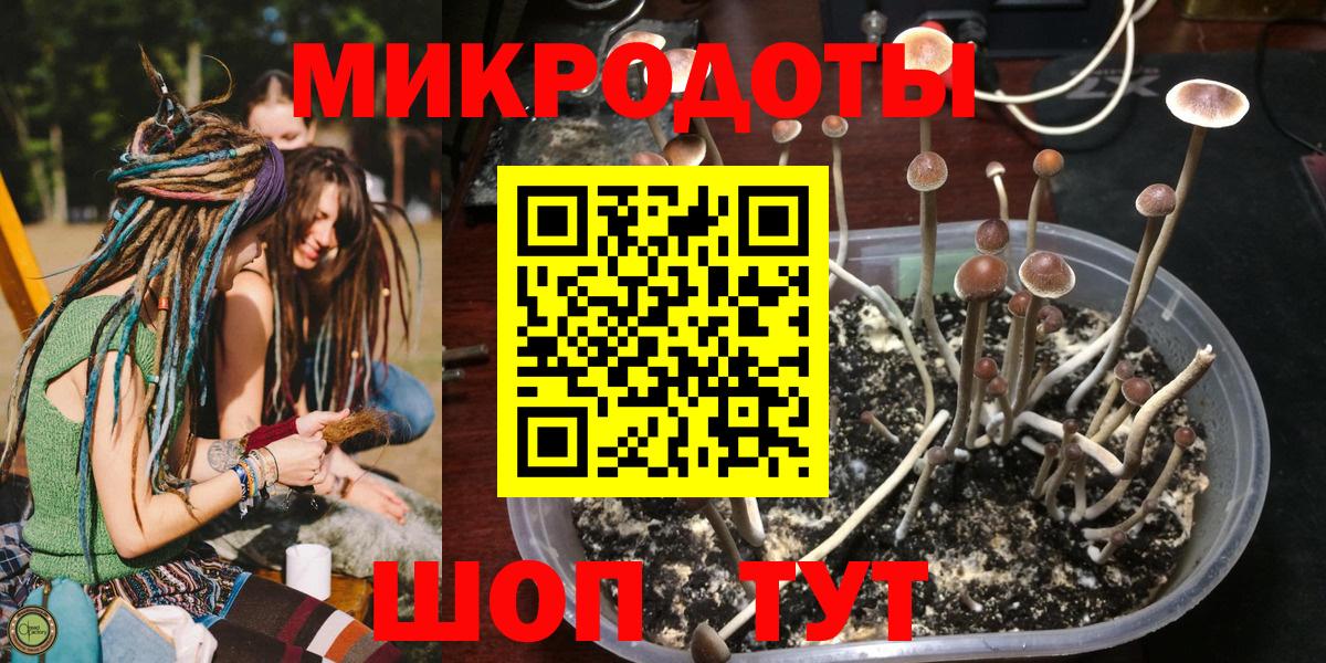 Псилоцибиновые грибы Magic Shrooms Кудымкар