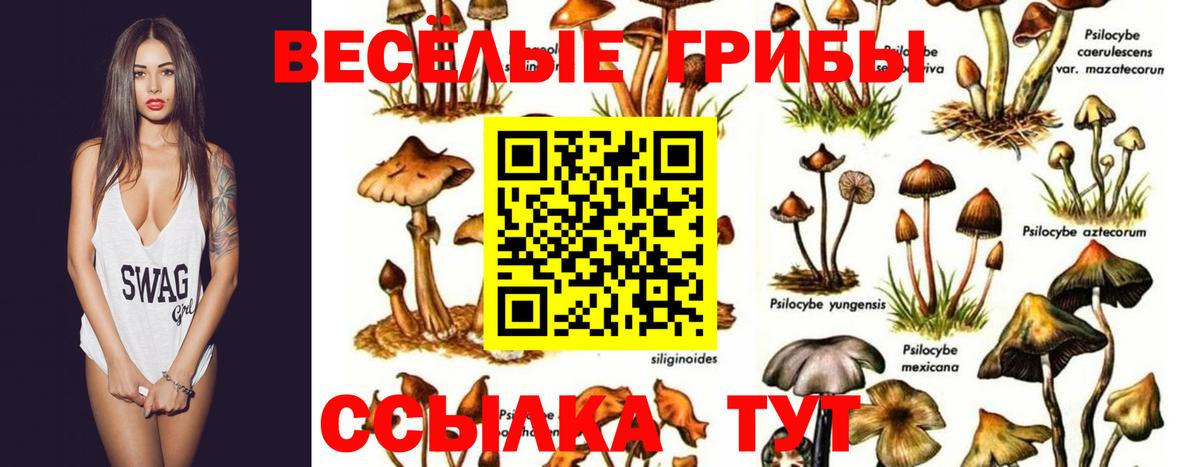 Галлюциногенные грибы прущие грибы  Вход с VPN  магазин    Кудымкар 